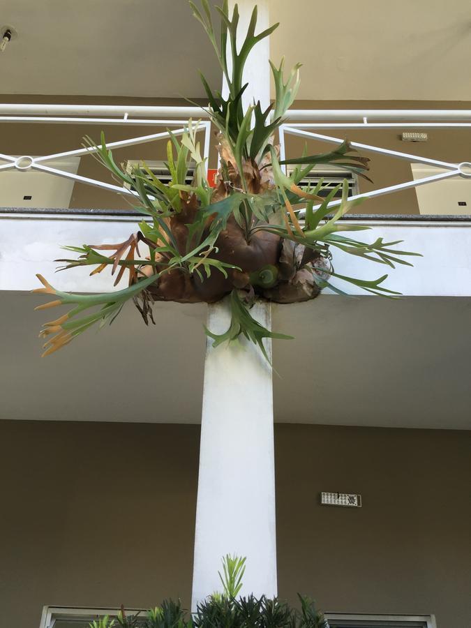 Smart Hotel เฮจิสโตร ภายนอก รูปภาพ